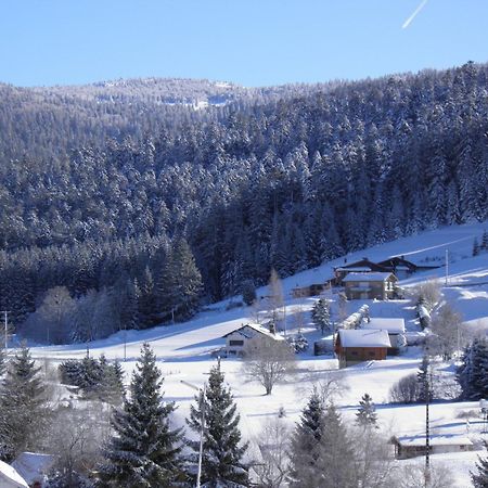 Chalet Ban-sur-Meurthe-Clefcy, 3 pièces, 4 personnes - FR-1-589-150 Esterno foto