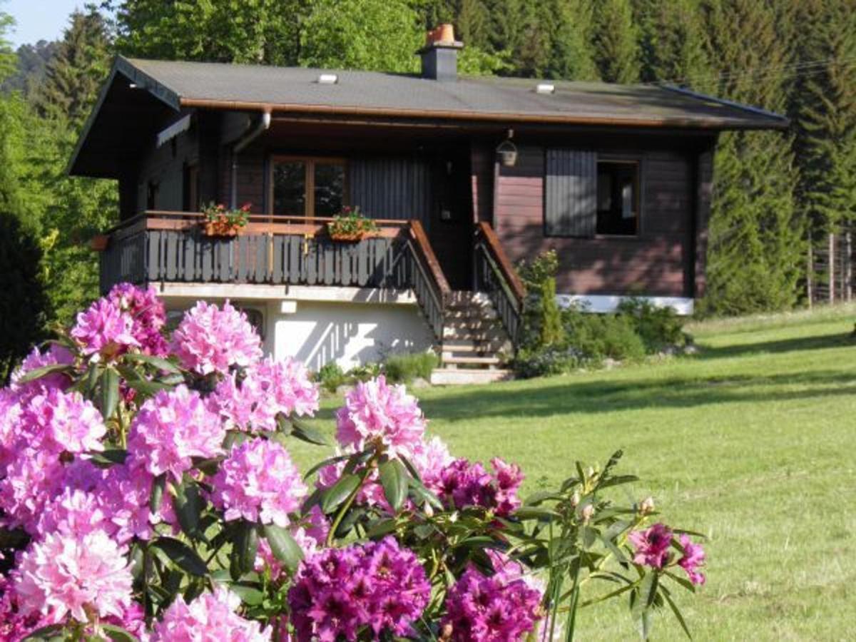 Chalet Ban-sur-Meurthe-Clefcy, 3 pièces, 4 personnes - FR-1-589-150 Esterno foto