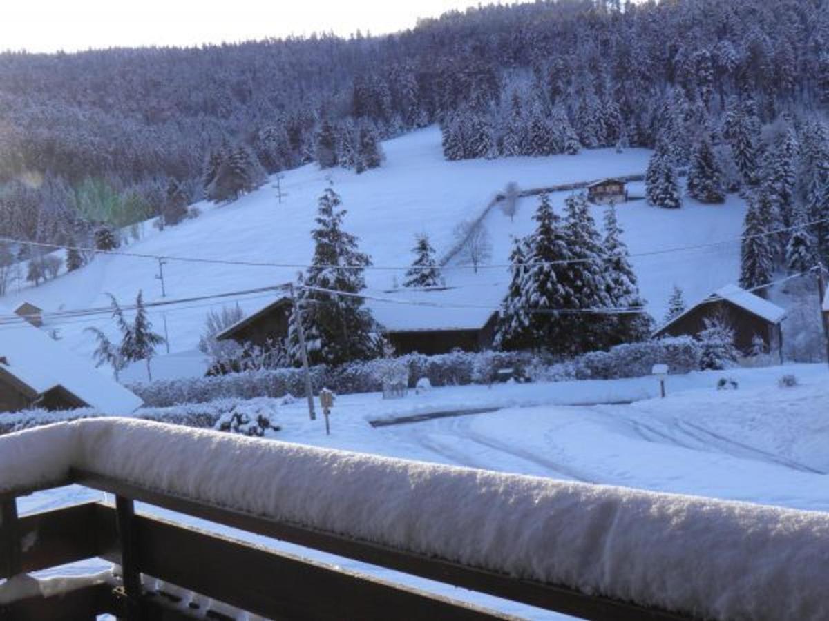 Chalet Ban-sur-Meurthe-Clefcy, 3 pièces, 4 personnes - FR-1-589-150 Esterno foto