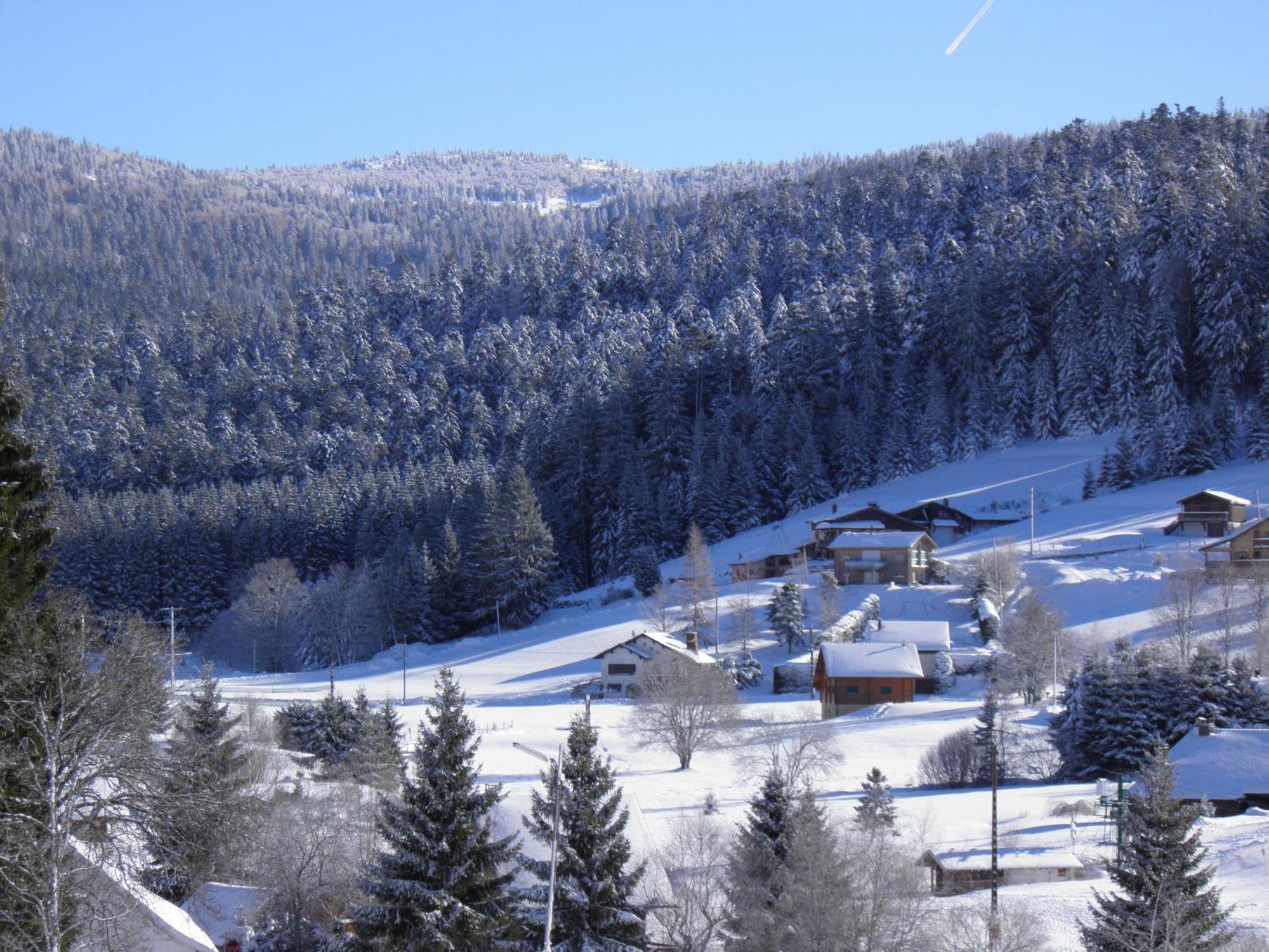 Chalet Ban-sur-Meurthe-Clefcy, 3 pièces, 4 personnes - FR-1-589-150 Esterno foto